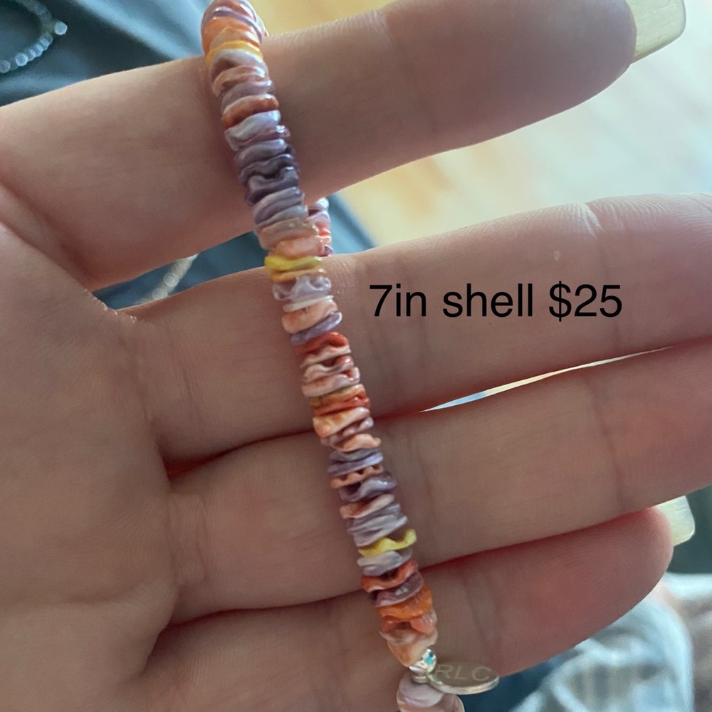 7in shell bracelet from rachel lynn x corri lynn